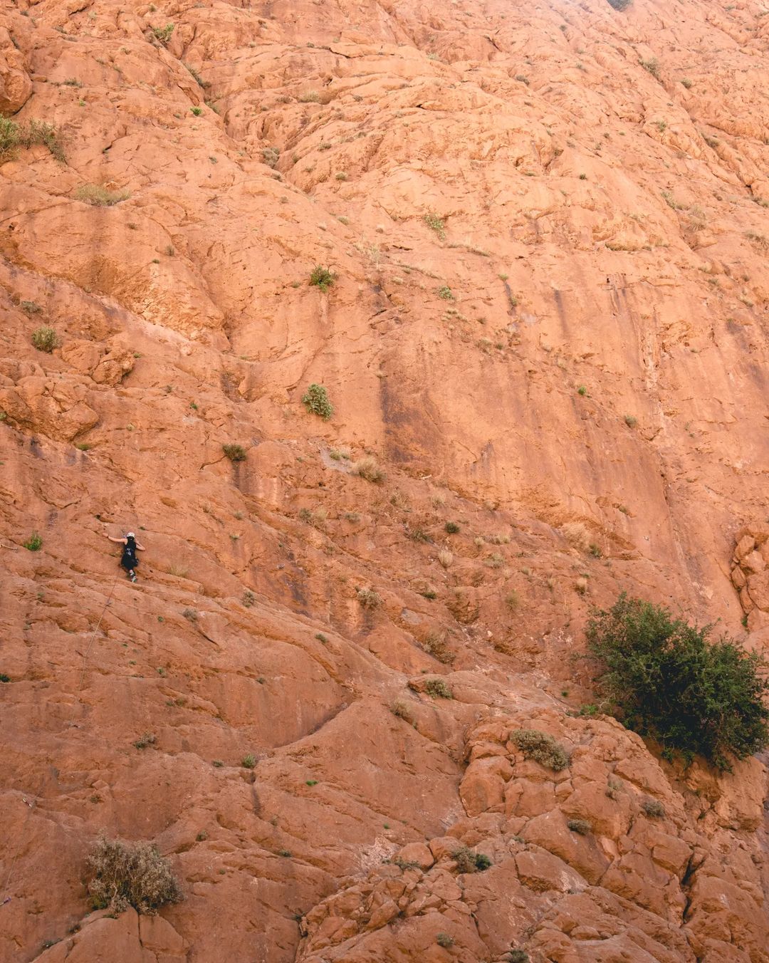 AdventureRockMorocco_AfterCovd_Alex_Atlastours_todra_climbers_credits_rolling_routes